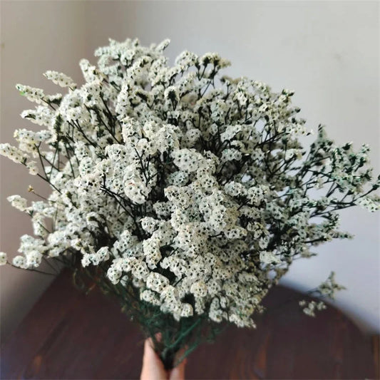 Natural Preserved Crystal Grass Bouquet, Household Flower Arrangement, Backdrop Décor Materials.